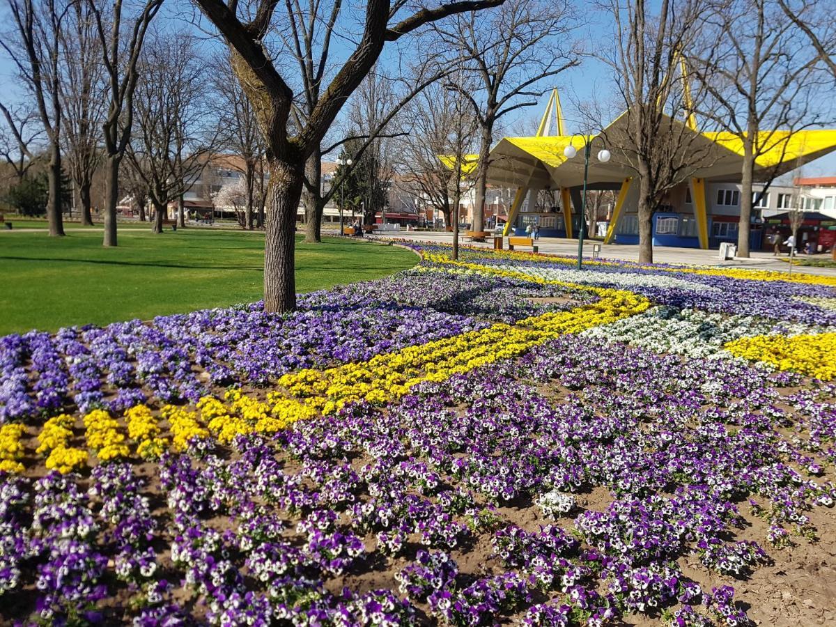 Lola Studio Apartman Hajduszoboszlo Bagian luar foto